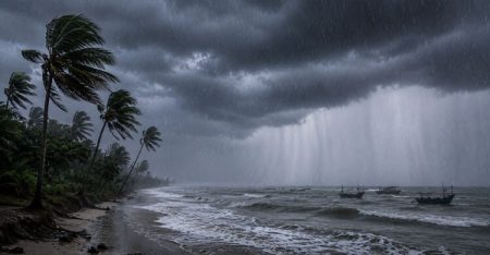 Rain
