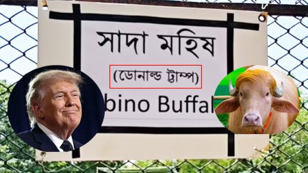 ভাইরাল ‘ডোনাল্ড ট্রাম্প’-এর ‘ট্রাম্প’ বানান ভুল করল চিড়িয়াখানা কর্তৃপক্ষ ডোনাল্ড ট্টাম্প