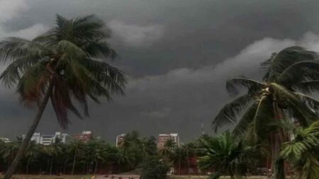 ঝড়ের আভাস