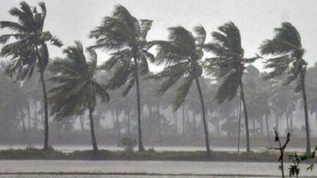 ঝড়ের পূর্বাভাস