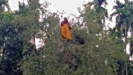 বৃদ্ধা