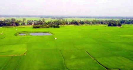 Vumi