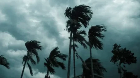 দুপুরের মধ্যে রাজধানীসহ ১৭ জেলায় ঝড়বৃষ্টির আশঙ্কা ঝড়বৃষ্টির আশঙ্কা
