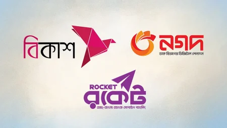 বিকাশ-নগদ-রকেট