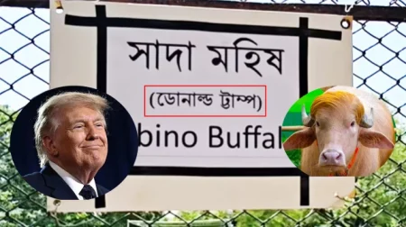 ‘ডোনাল্ড ট্রাম্প’ নামের বানান ভুল, চিড়িয়াখানার কিউরেটরকে বদলি বদলি