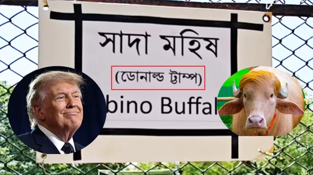 ‘ডোনাল্ড ট্রাম্প’ নামের বানান ভুল, চিড়িয়াখানার কিউরেটরকে বদলি ‘ডোনাল্ড ট্রাম্প’ নামের বানান ভুল, চিড়িয়াখানার কিউরেটরকে বদলি