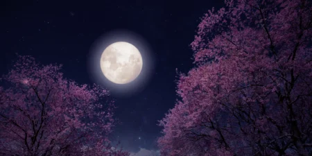 Flower Moon Full Moon Astrology Draws Focus to Emotional Turning Point on May flower moon full moon astrology