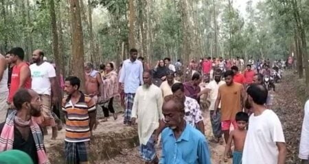 গরু চোর