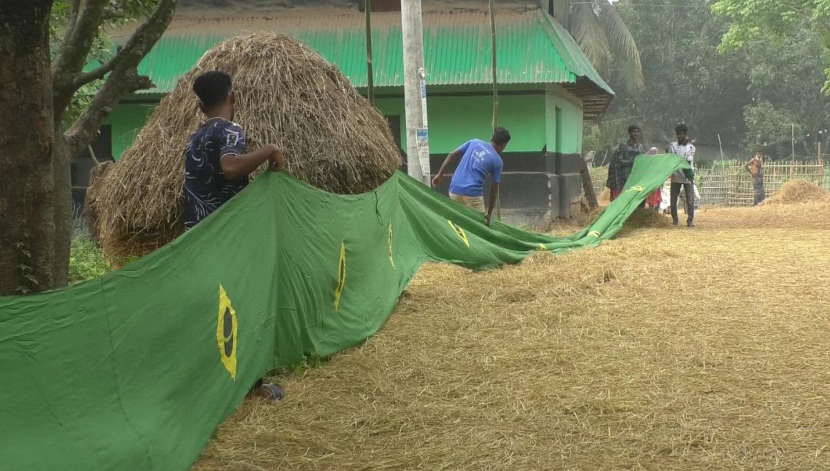 ব্রাজিলের পতাকা