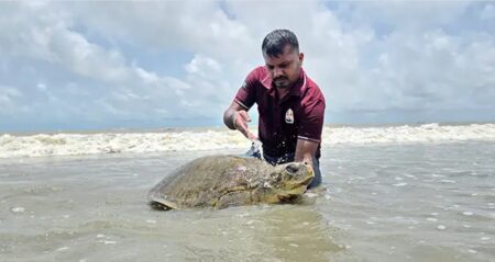 উদ্ধার