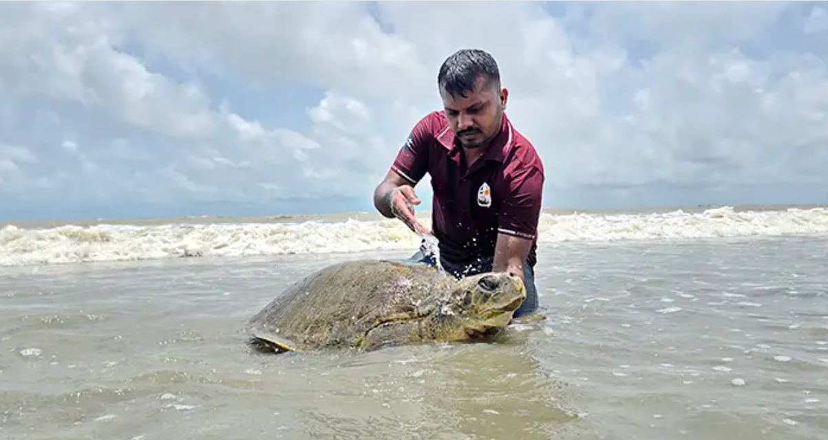 উদ্ধার