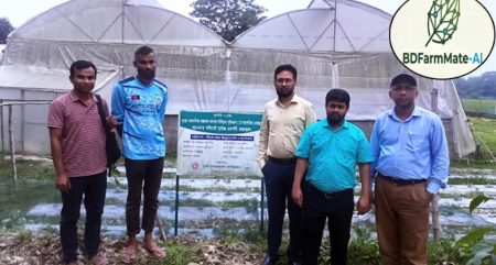 কৃষকদের জন্য স্মার্ট সমাধান, বাকৃবির এআই ভিত্তিক কৃষি অ্যাপ উদ্ভাবন কৃষি