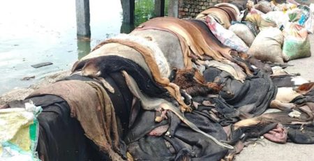 কোরবানি