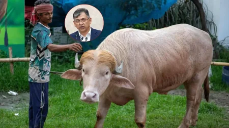 কোরবানি হচ্ছে না 'ডোনাল্ড ট্রাম্প'