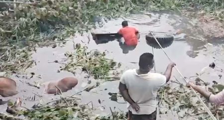 ট্রাক
