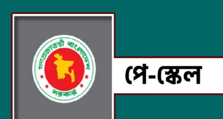 নতুন পে-স্কেল