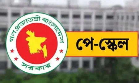 নতুন পে-স্কেলের