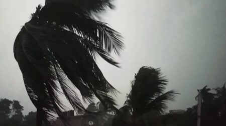 বৃষ্টি