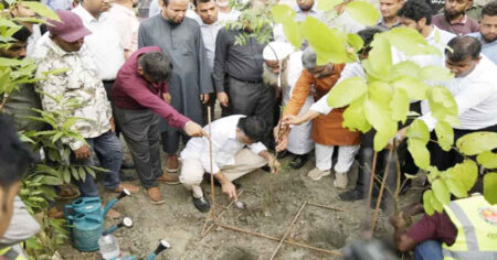 মিয়াওয়াকি পদ্ধতিতে বনায়ন শুরু করলো ডিএনসিসি মিয়াওয়াকি