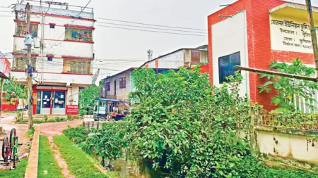যুবলীগ নেতা