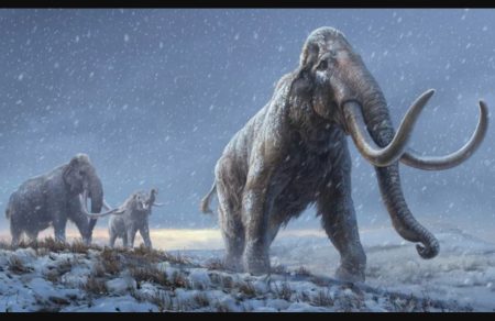 700,000-Year-Old Mammoth DNA