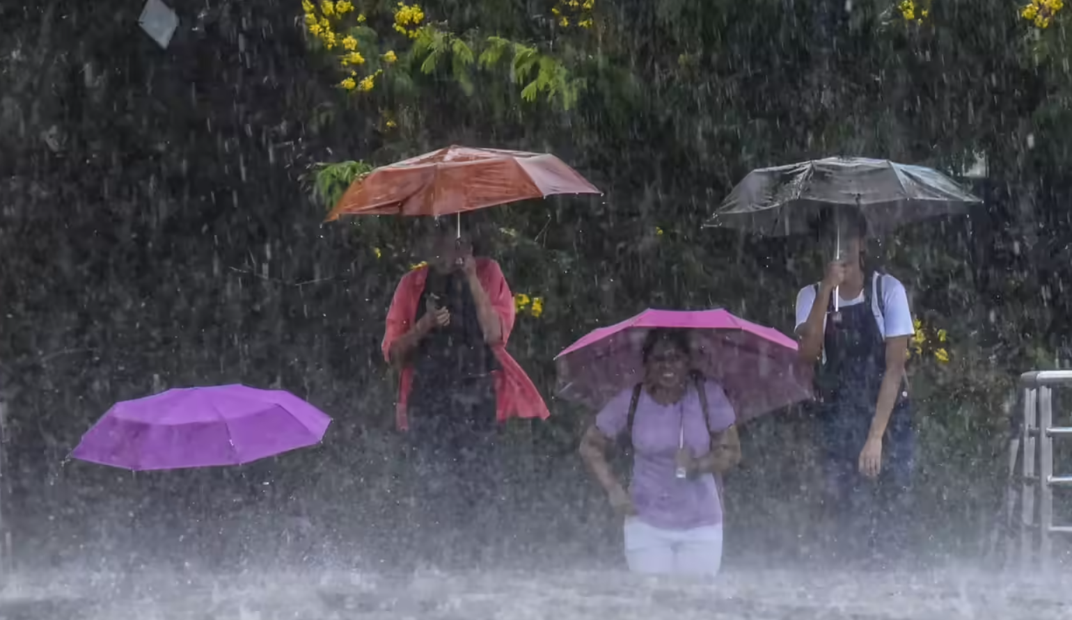 Maharashtra IMD Orange Alert Heavy Rain Forecast for Six Districts