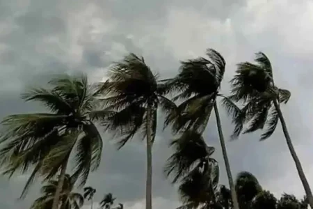 ঝড়ের শঙ্কা
