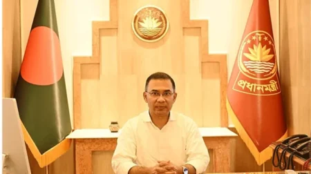 মশক নিধন