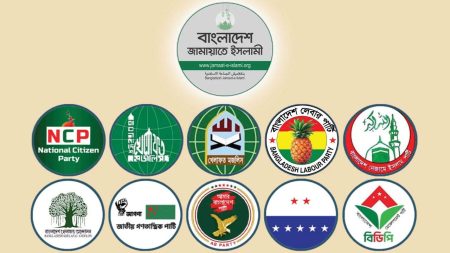 ১১ দল