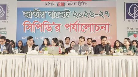 সিপিডি
