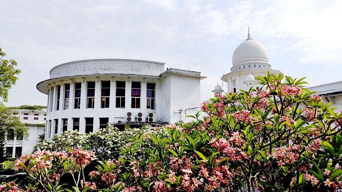 জামান হত্যা