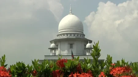 হাইকোর্ট