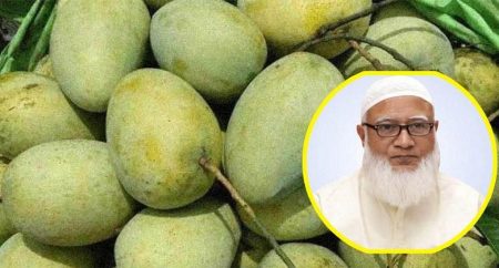 সংসদের সবাইকে ১০ কেজি করে আম উপহার দিলেন জামায়াত আমির জামায়াত আমির