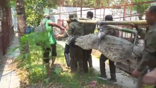 কুমির