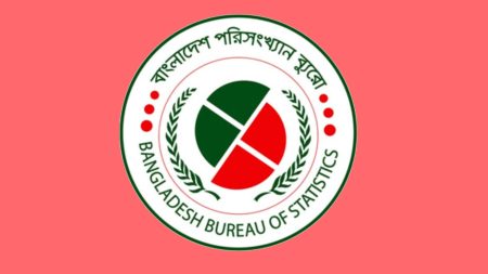 মাথাপিছু আয়