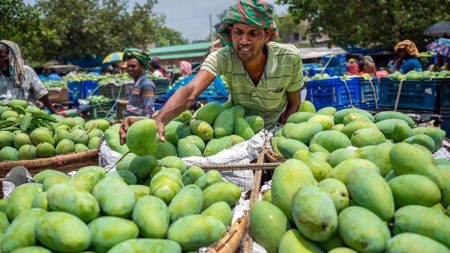 আম খাওয়া
