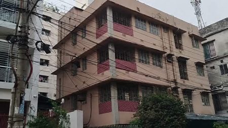 সেলিনা