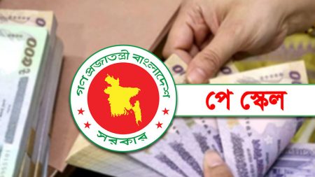 নবম পে স্কেলে ১০-২০তম গ্রেডে ৬০% বাড়তে পারে বেতন, ১ম-৯ম গ্রেডে কত? Pay