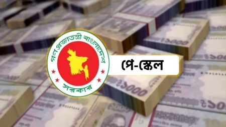 পে-স্কেল বাস্তবায়ন
