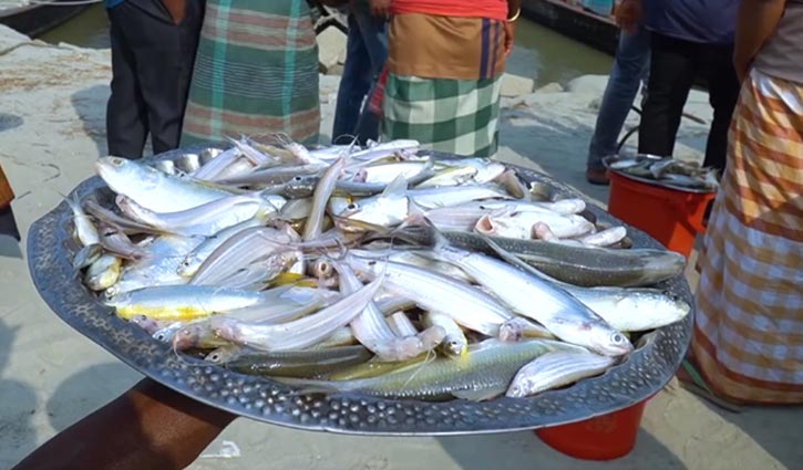 মাছ ধরার মহোৎসব