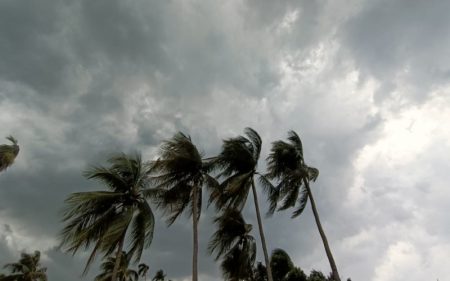 Storm