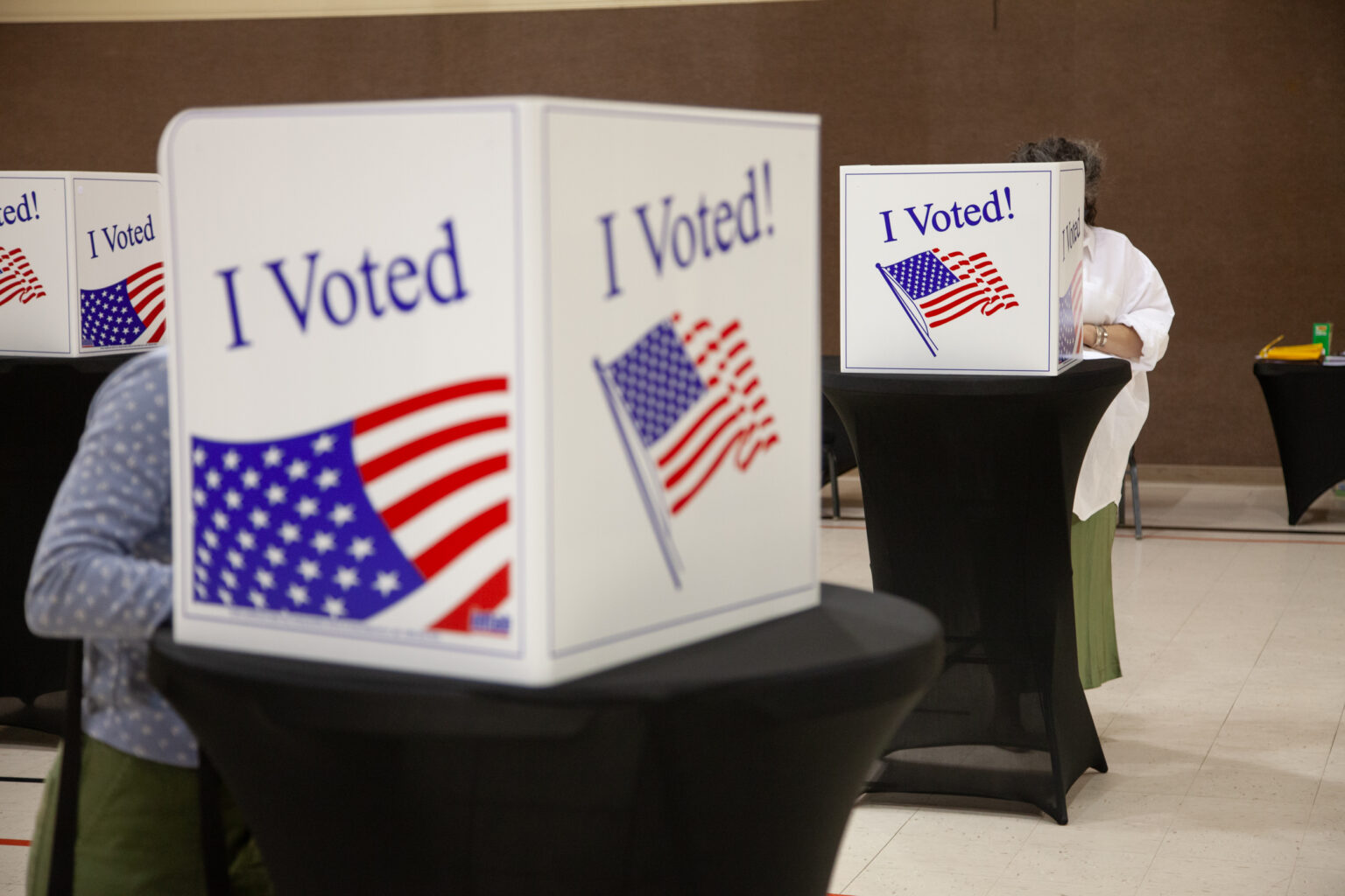 Voting Rights Act Section 208