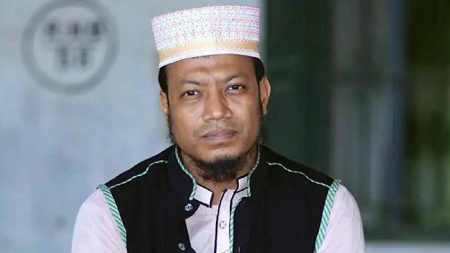 আমির হামজা