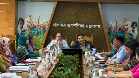 প্রাথমিক বিদ্যালয়ে শিল্প ও সংস্কৃতি পাঠ্যবই চালুর উদ্যোগ: ববি হাজ্জাজ ববি হাজ্জাজ