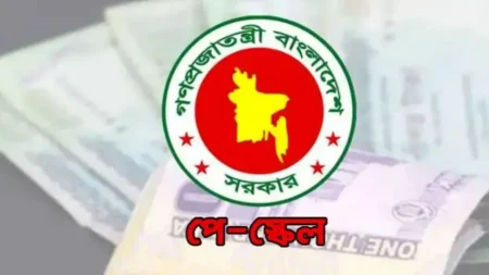 নতুন পে স্কেলে অতিরিক্ত সুবিধা পাচ্ছেন যারা নবম পে স্কেল