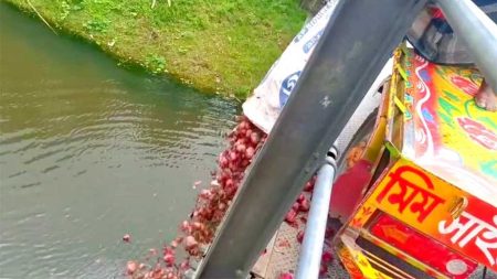 রাজবাড়ীতে পেঁয়াজের দাম না পেয়ে নদীতে ফেলে দিলেন কৃষক rajbari-onion