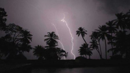 মৃত্যু