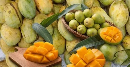 গরমে আম খাওয়া নিয়ে সতর্কতা: কতটুকু খাওয়া নিরাপদ? আম