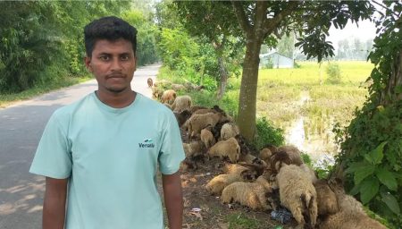 ছোটবেলার ভেড়া উপহারই বদলে দিল আশিকের জীবন আশিক