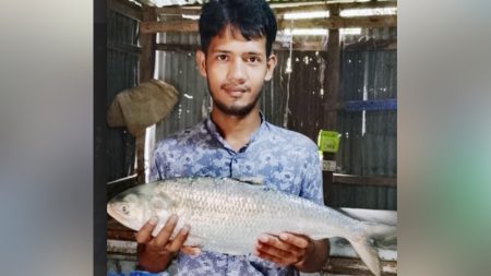 মেঘনার বুকে ধরা পড়ল ৩ কেজির ‘রাজা ইলিশ’ ইলিশ